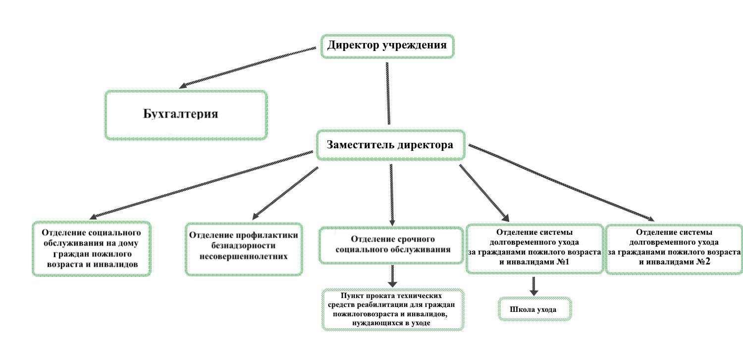 Структура организации